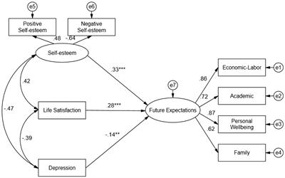 The influence of self-esteem, depression, and life satisfaction on the future expectations of Peruvian university students